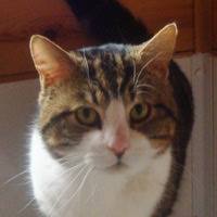 Fred